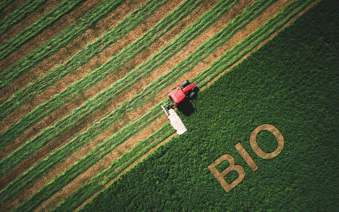 Czy produkty BIO i EKO zawsze są lepsze?